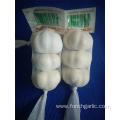 New Crop Fresh Pure White Garlic